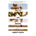 Call Up the Waters: Stories - Paperback