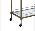 Aditya Mirrored & Antique Kitchen Cart