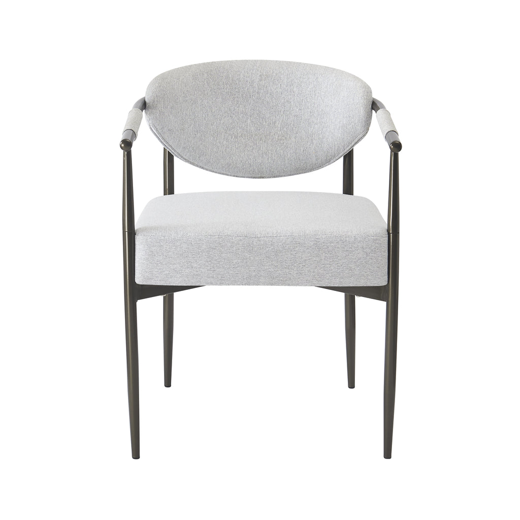 Modern Dining Chairs Set of 2