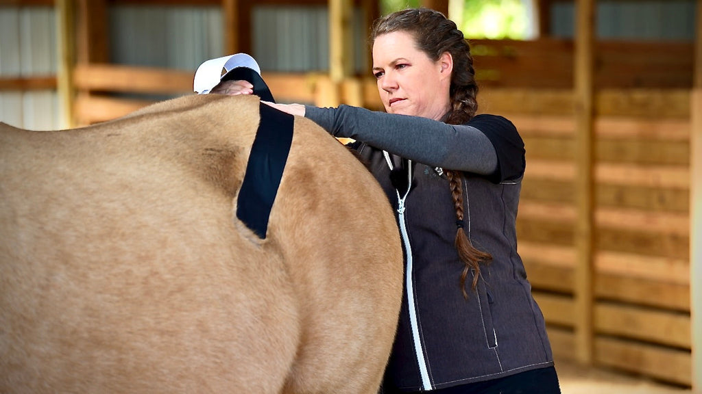 Horse 4-Way Functional Taping Tape — Biomechanic Support