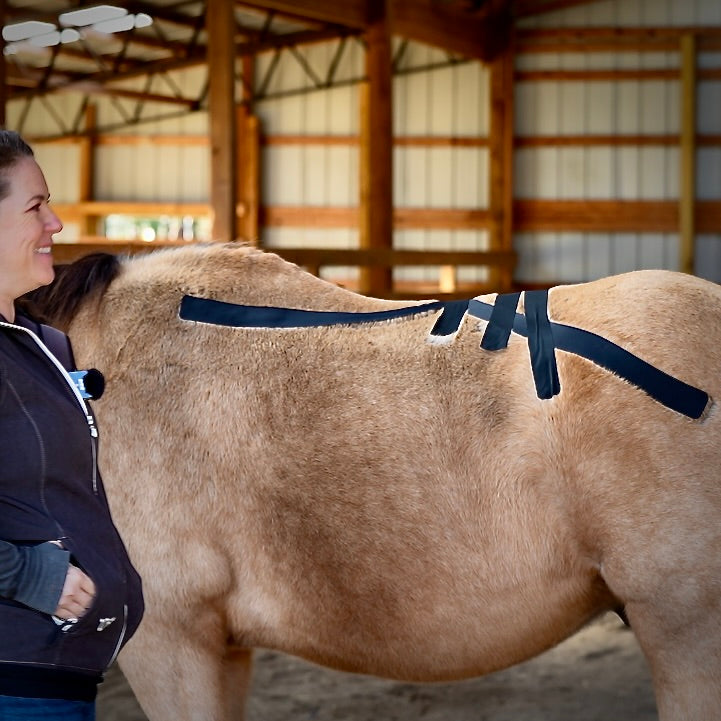 Horse 4-Way Functional Taping Tape — Biomechanic Support