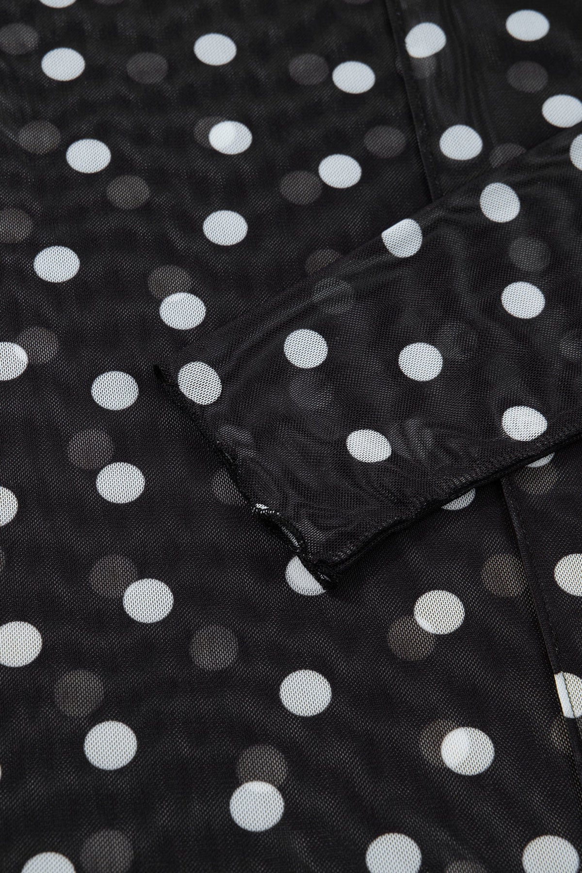 Polka Dot Mesh Mock Neck Long Sleeve Top