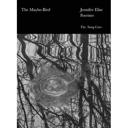 The Maybe-Bird - Paperback