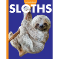 Curious about Sloths - Paperback