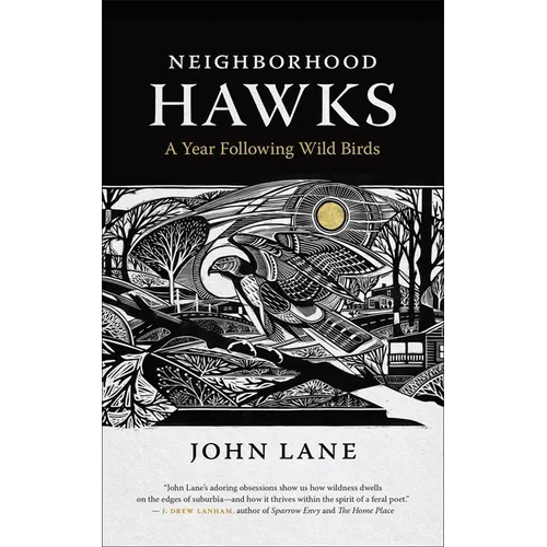 Neighborhood Hawks: A Year Following Wild Birds - Paperback