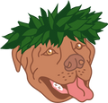Poi Pup Stickers: Pitbull