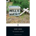 The Gospel Singer - Paperback