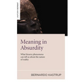 Meaning in Absurdity: What Bizarre Phenomena Can Tell Us about the Nature of Reality - Paperback