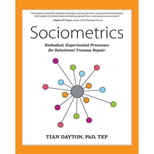 Sociometrics: Embodied, Experiential Processes for Relational Trauma Repair - Paperback