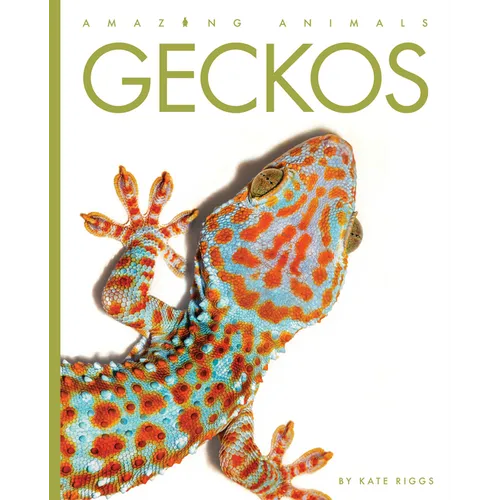 Geckos - Paperback