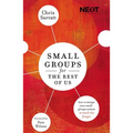 The Small Groups for the Rest of Us: How to Design Your Small Groups System to Reach the Fringes - Paperback