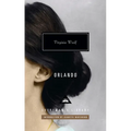 Orlando: Introduction by Jeanette Winterson - Hardcover