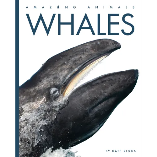 Whales - Paperback