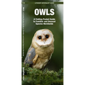 Owls: A Folding Pocket Guide to Familiar and Unusual Species Worldwide - Paperback